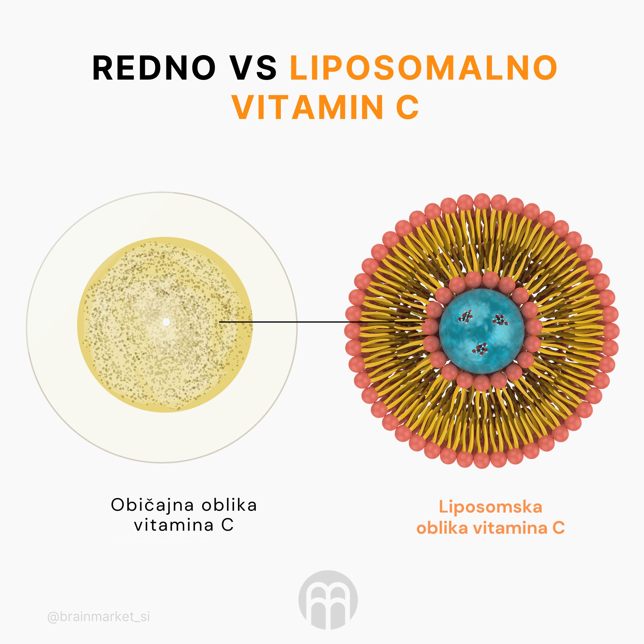 (Slovinština) - 2024-09-10T124333.195